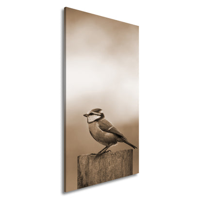 Hauptbild Sepia Panorama