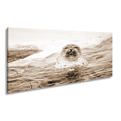 Hauptbild Sepia Panorama