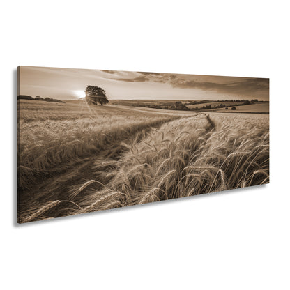 Hauptbild Sepia Panorama