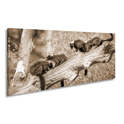 Hauptbild Sepia Panorama