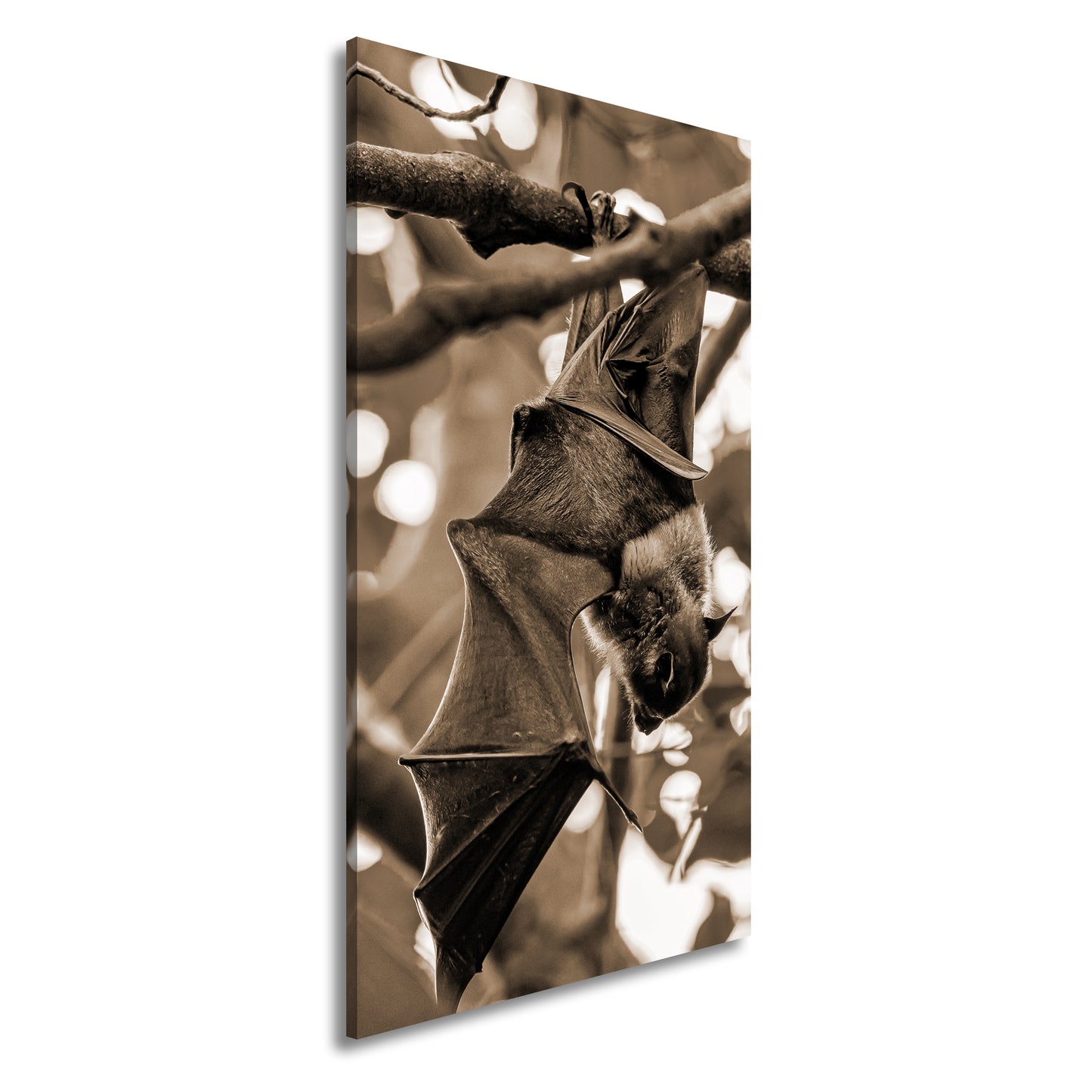 Hauptbild Sepia Panorama