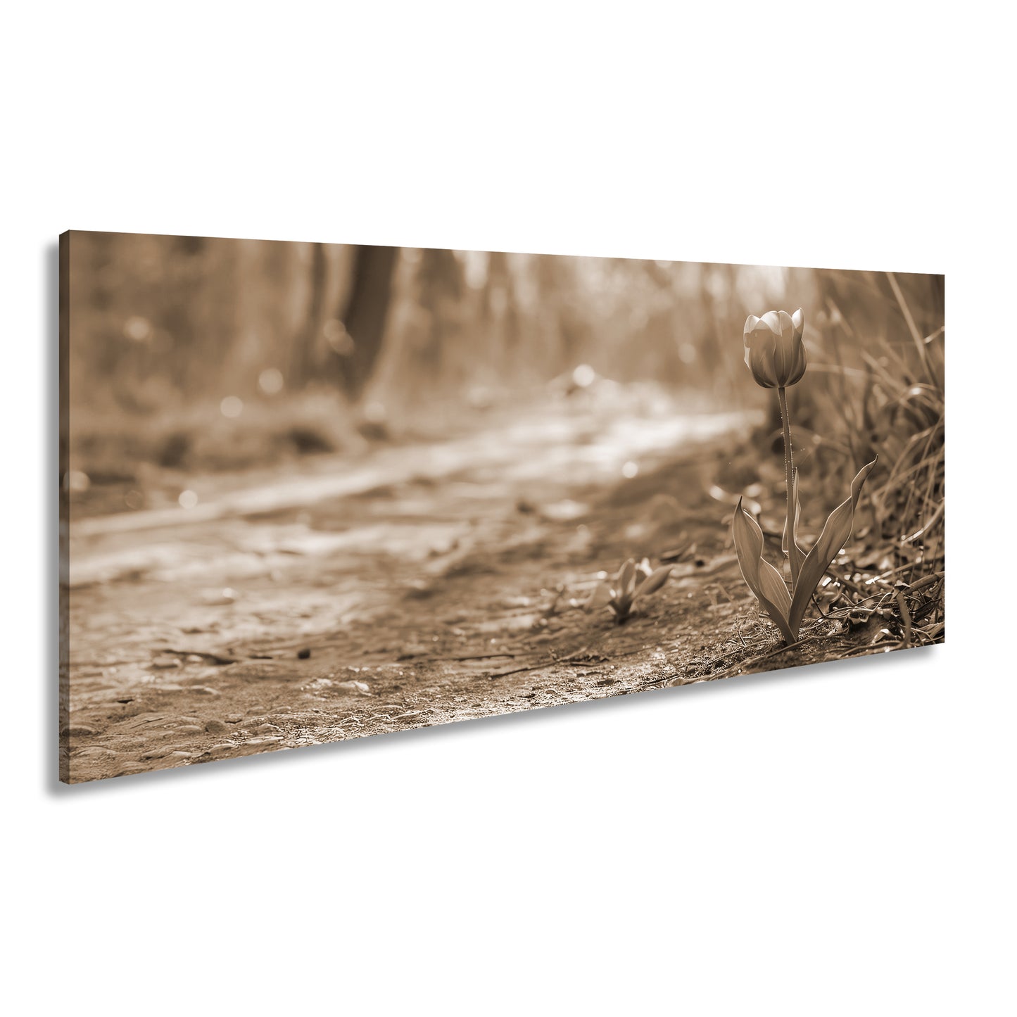 Hauptbild Sepia Panorama