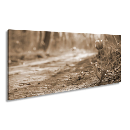 Hauptbild Sepia Panorama