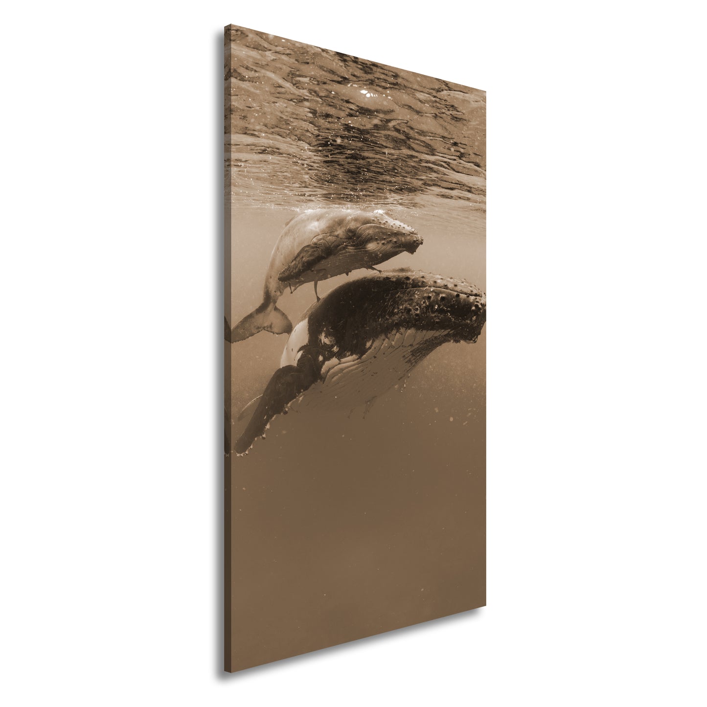 Hauptbild Sepia Panorama