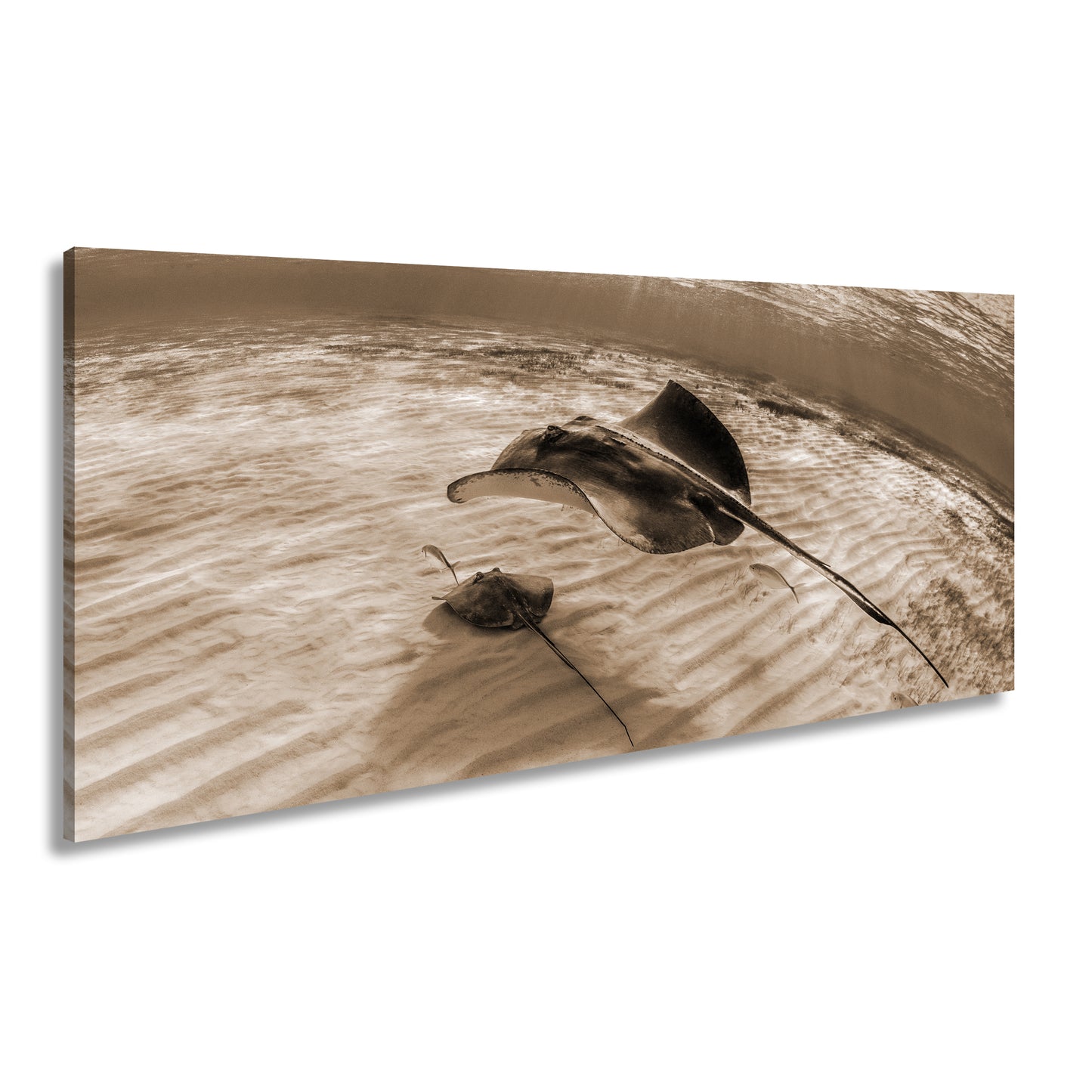 Hauptbild Sepia Panorama