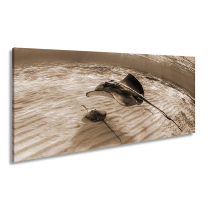 Hauptbild Sepia Panorama