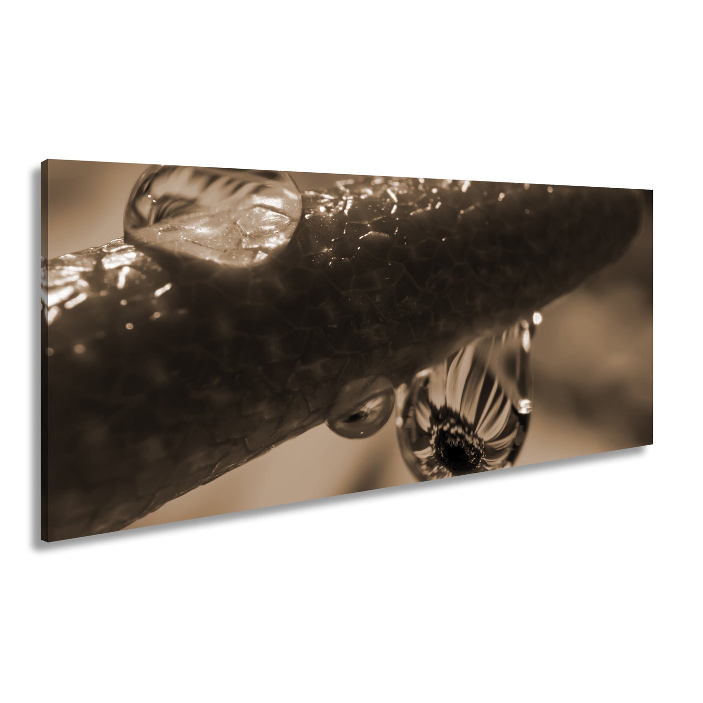 Hauptbild Sepia Panorama