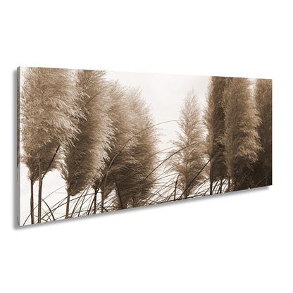 Hauptbild Sepia Panorama