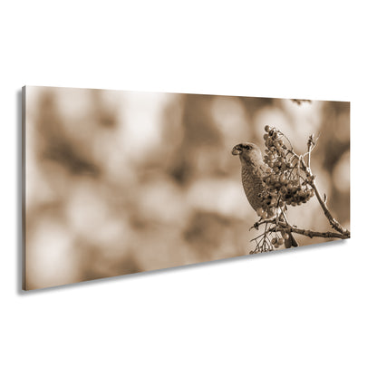 Hauptbild Sepia Panorama