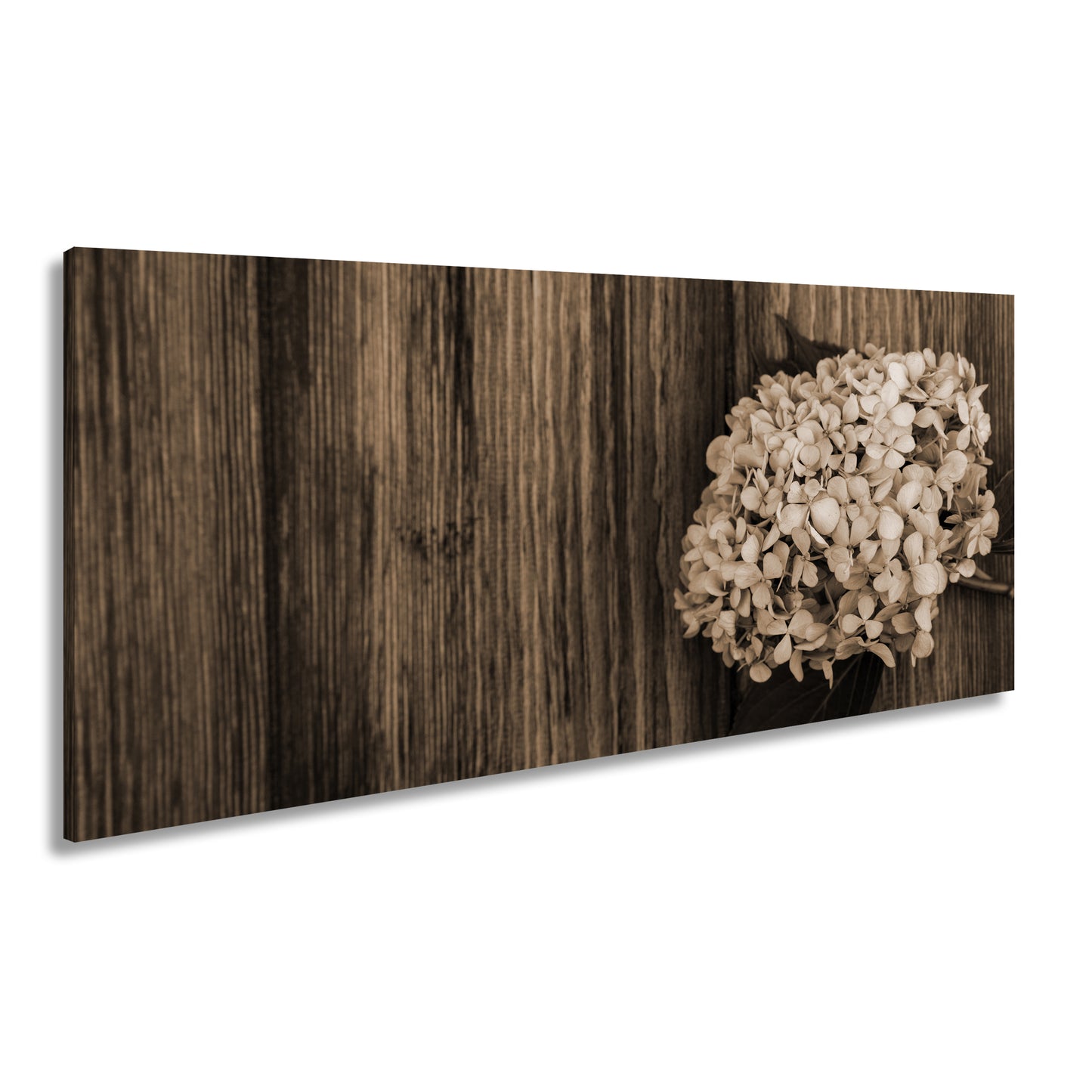 Hauptbild Sepia Panorama