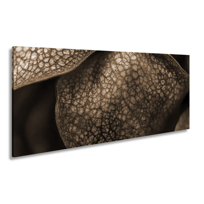 Hauptbild Sepia Panorama