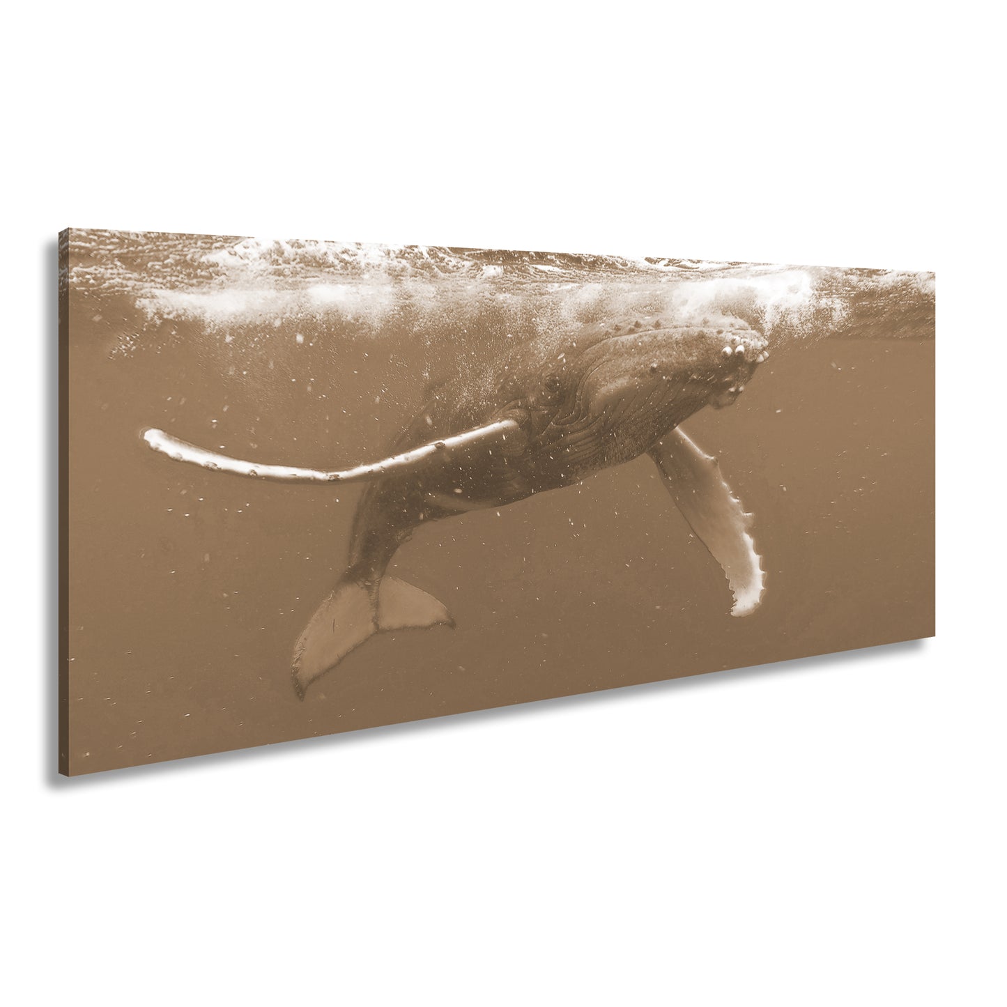 Hauptbild Sepia Panorama