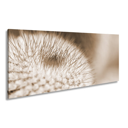 Hauptbild Sepia Panorama