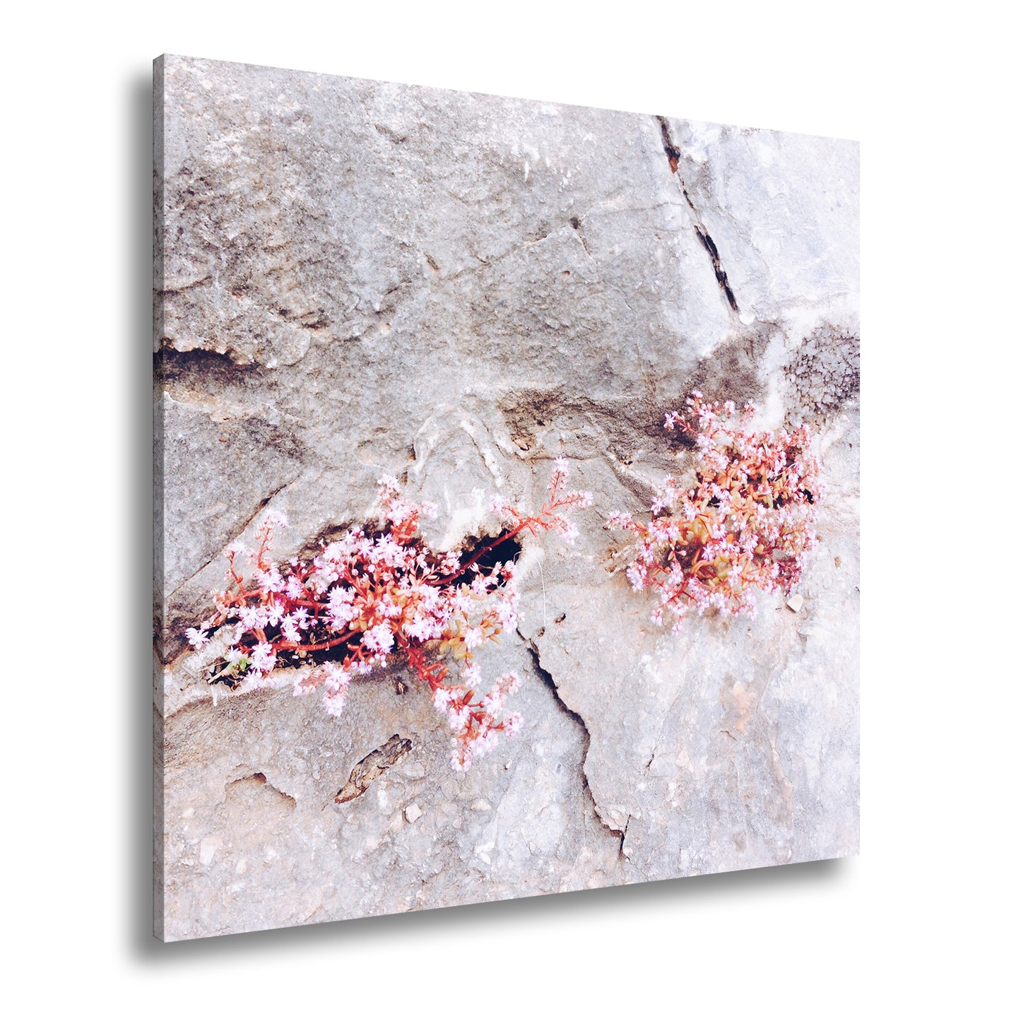 Hauptbild Farbig Quadratisch