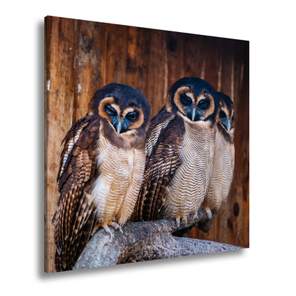 Hauptbild Farbig Quadratisch