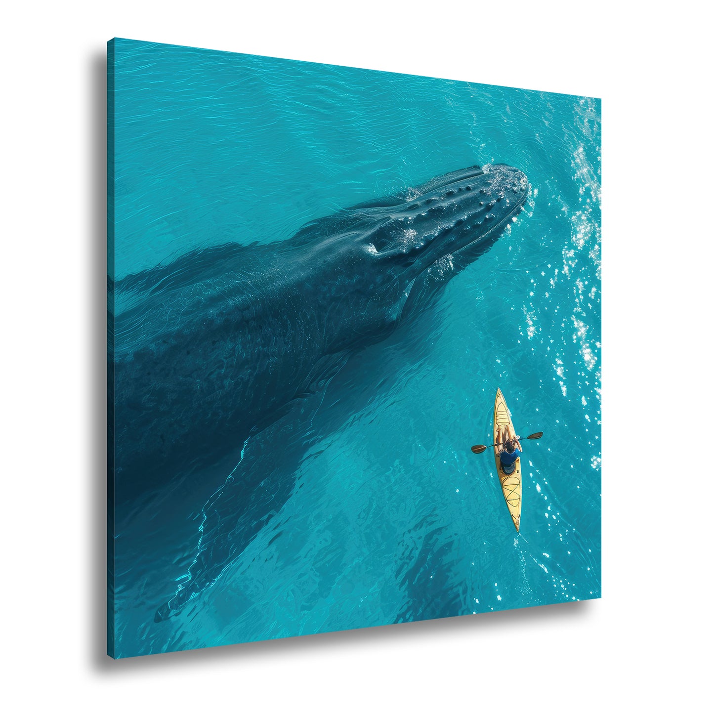 Hauptbild Farbig Quadratisch