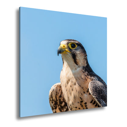 Hauptbild Farbig Quadratisch