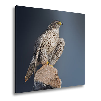 Hauptbild Farbig Quadratisch