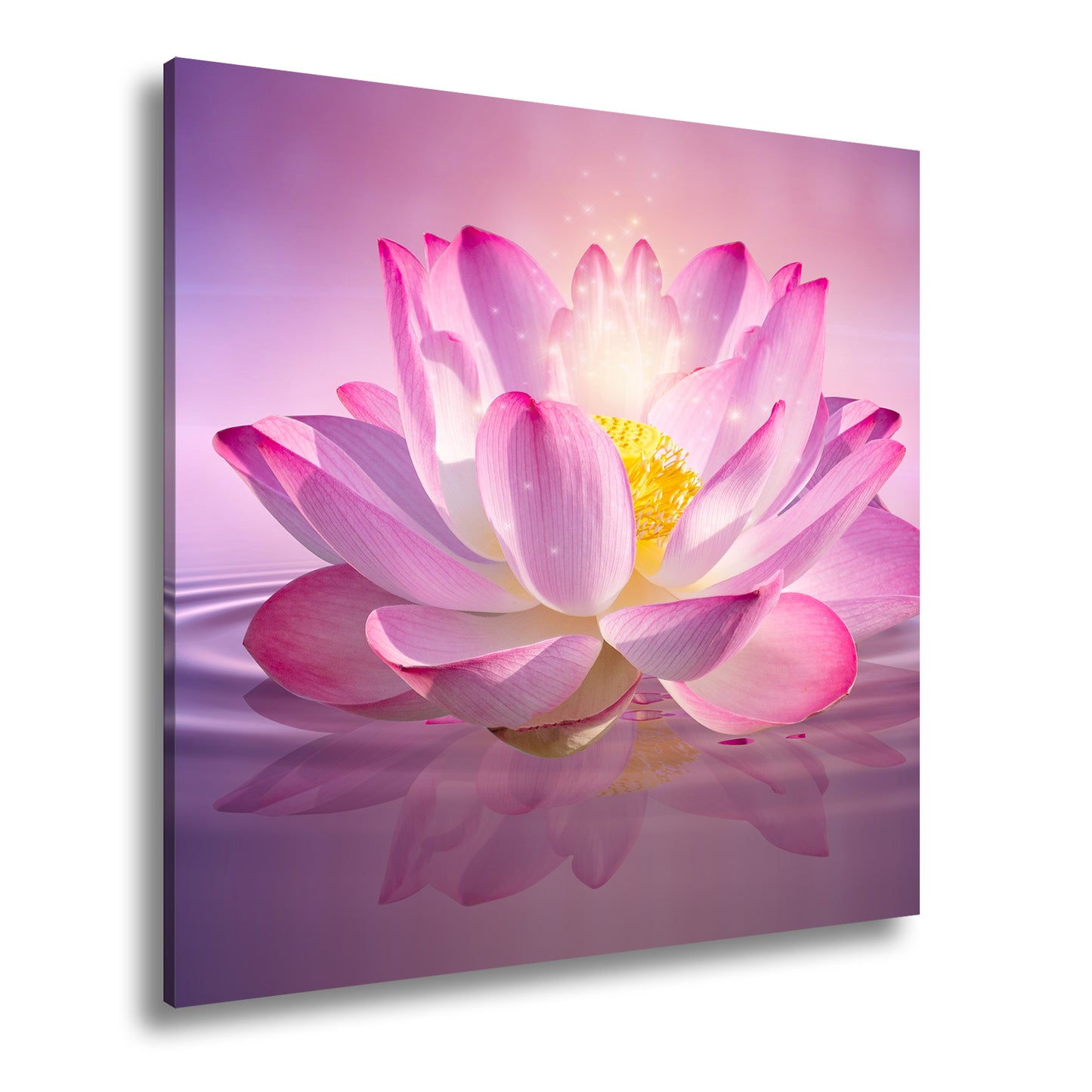 Hauptbild Farbig Quadratisch