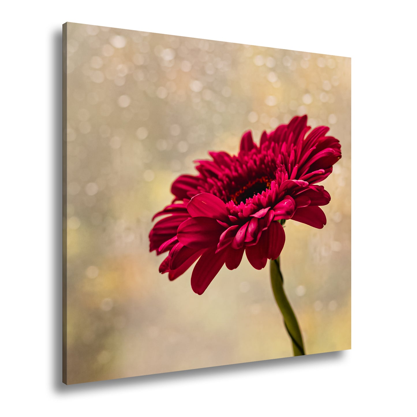 Hauptbild Farbig Quadratisch