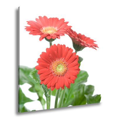 Hauptbild Farbig Quadratisch