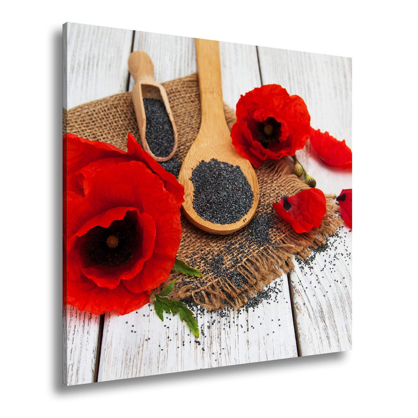 Hauptbild Farbig Quadratisch