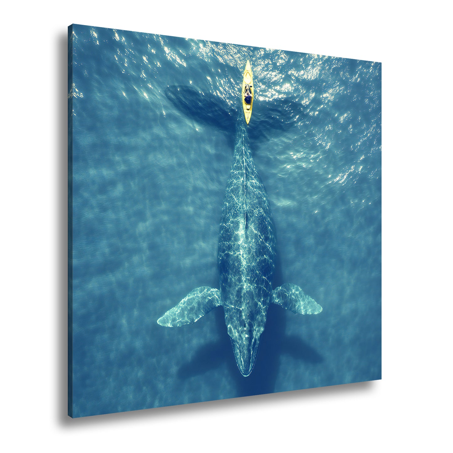 Hauptbild Farbig Quadratisch