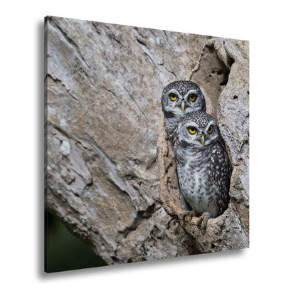 Hauptbild Farbig Quadratisch