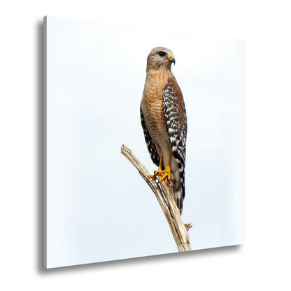 Hauptbild Farbig Quadratisch