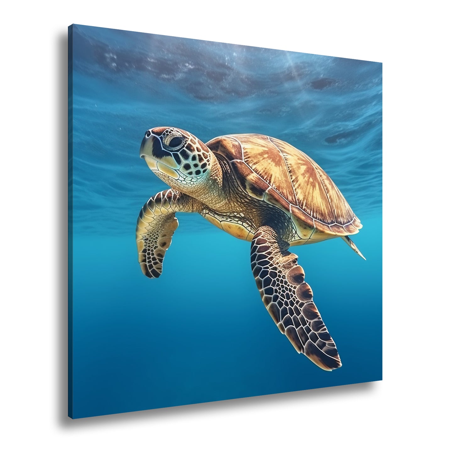 Hauptbild Farbig Quadratisch