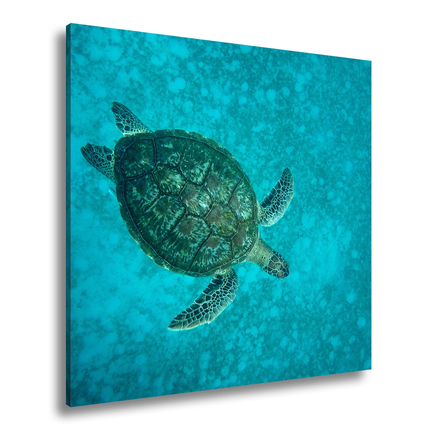 Hauptbild Farbig Quadratisch