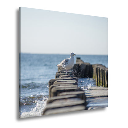 Hauptbild Farbig Quadratisch