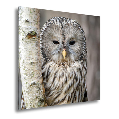 Hauptbild Farbig Quadratisch