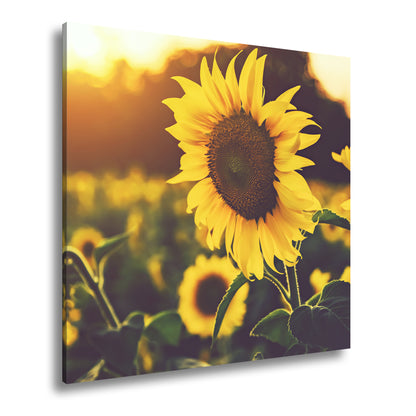 Hauptbild Farbig Quadratisch