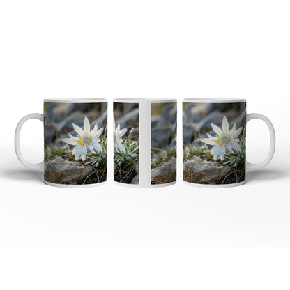 Hauptbild