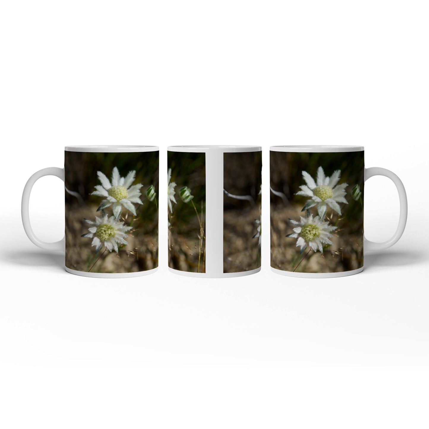 Hauptbild
