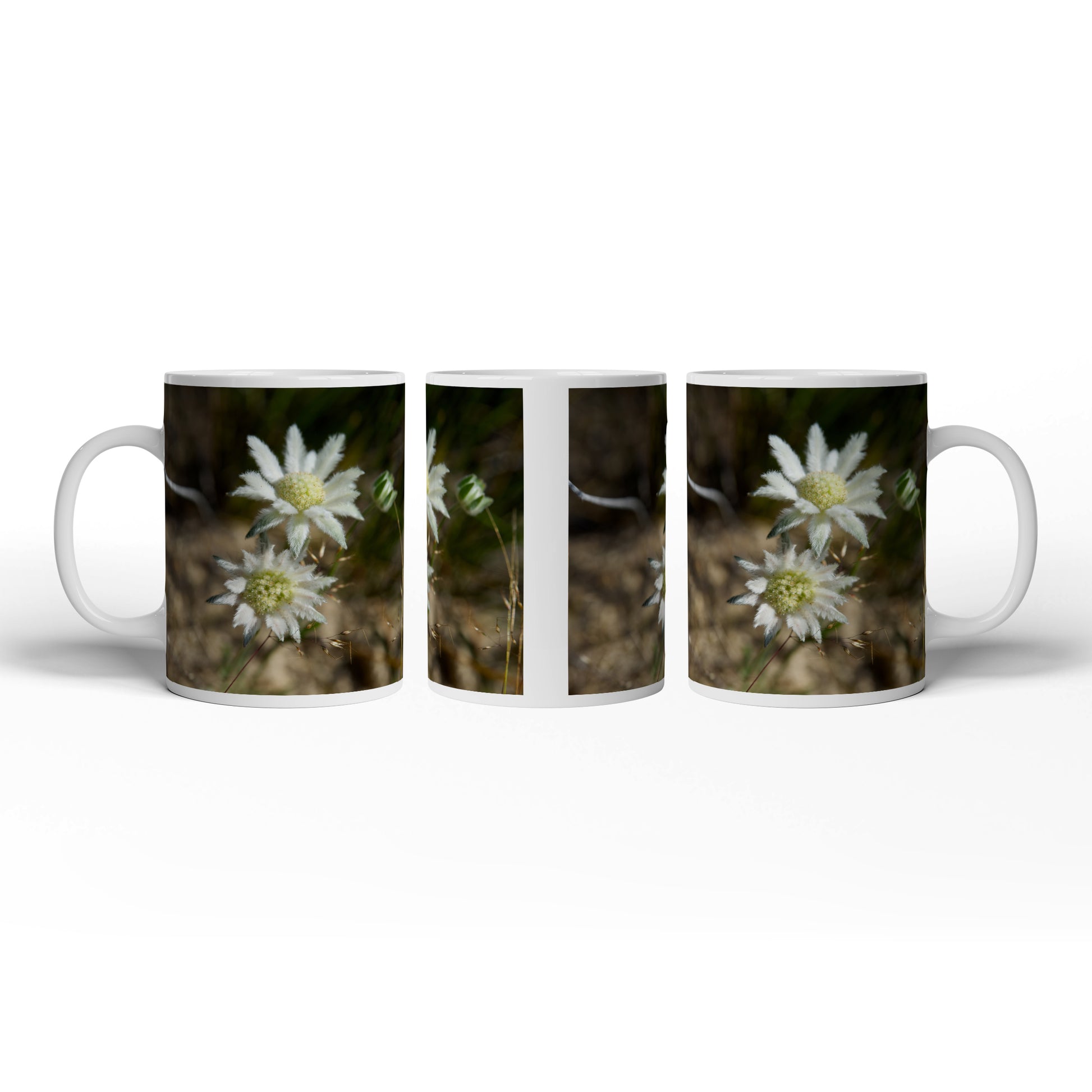 Hauptbild