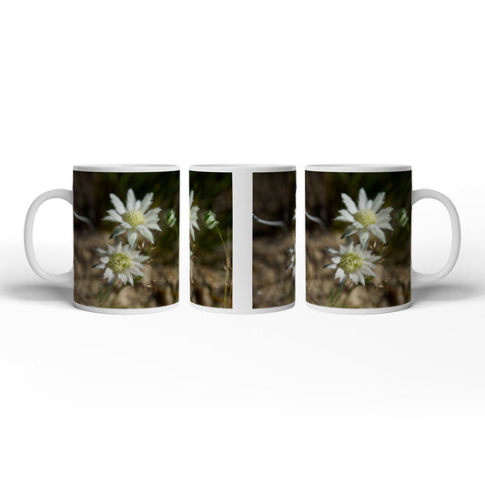 Hauptbild