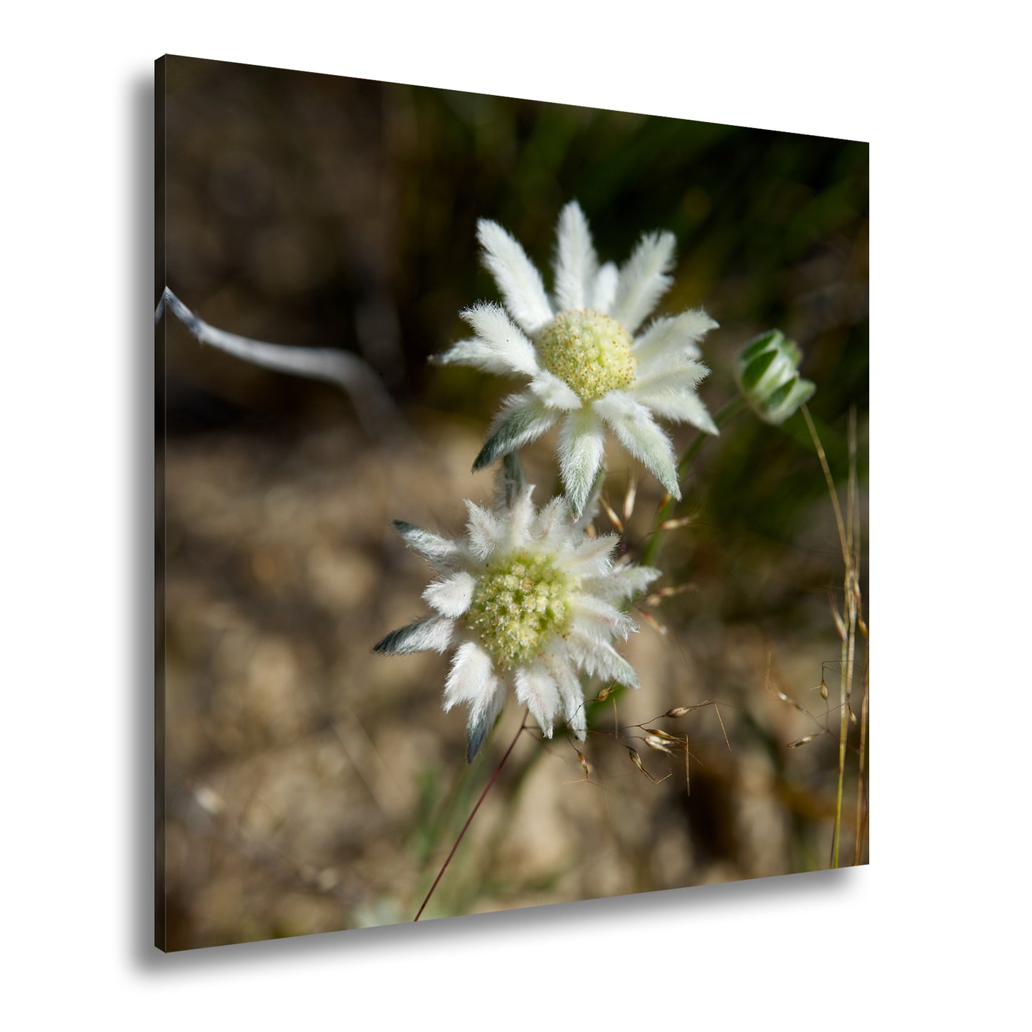 Hauptbild Farbig Quadratisch