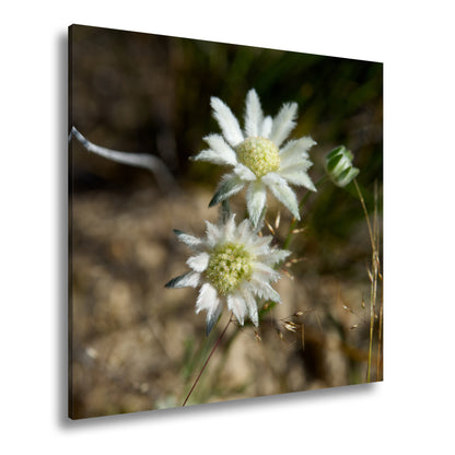 Hauptbild Farbig Quadratisch