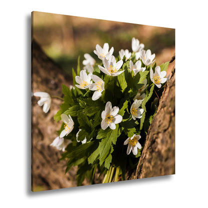 Hauptbild Farbig Quadratisch