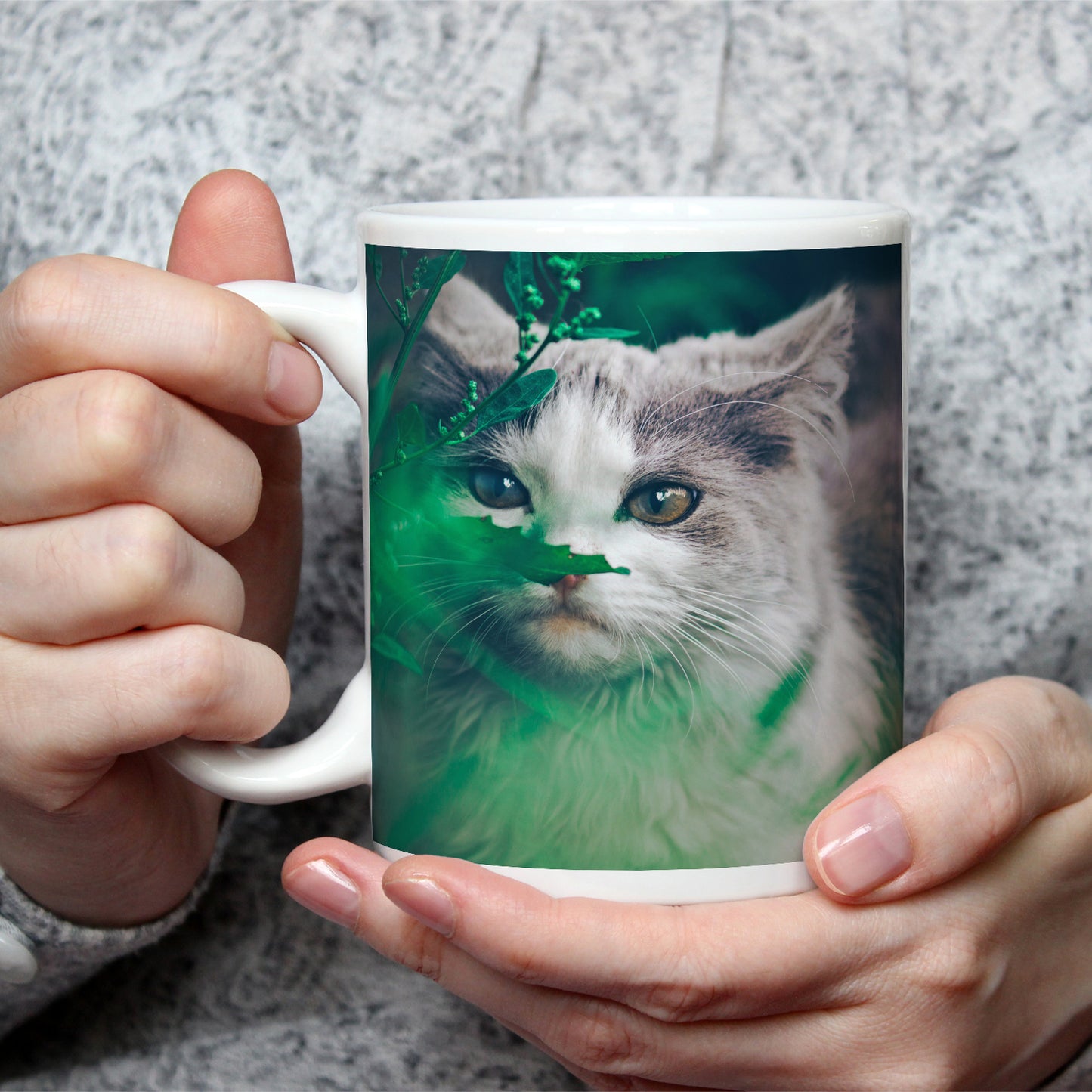 Vorschaubild 2
