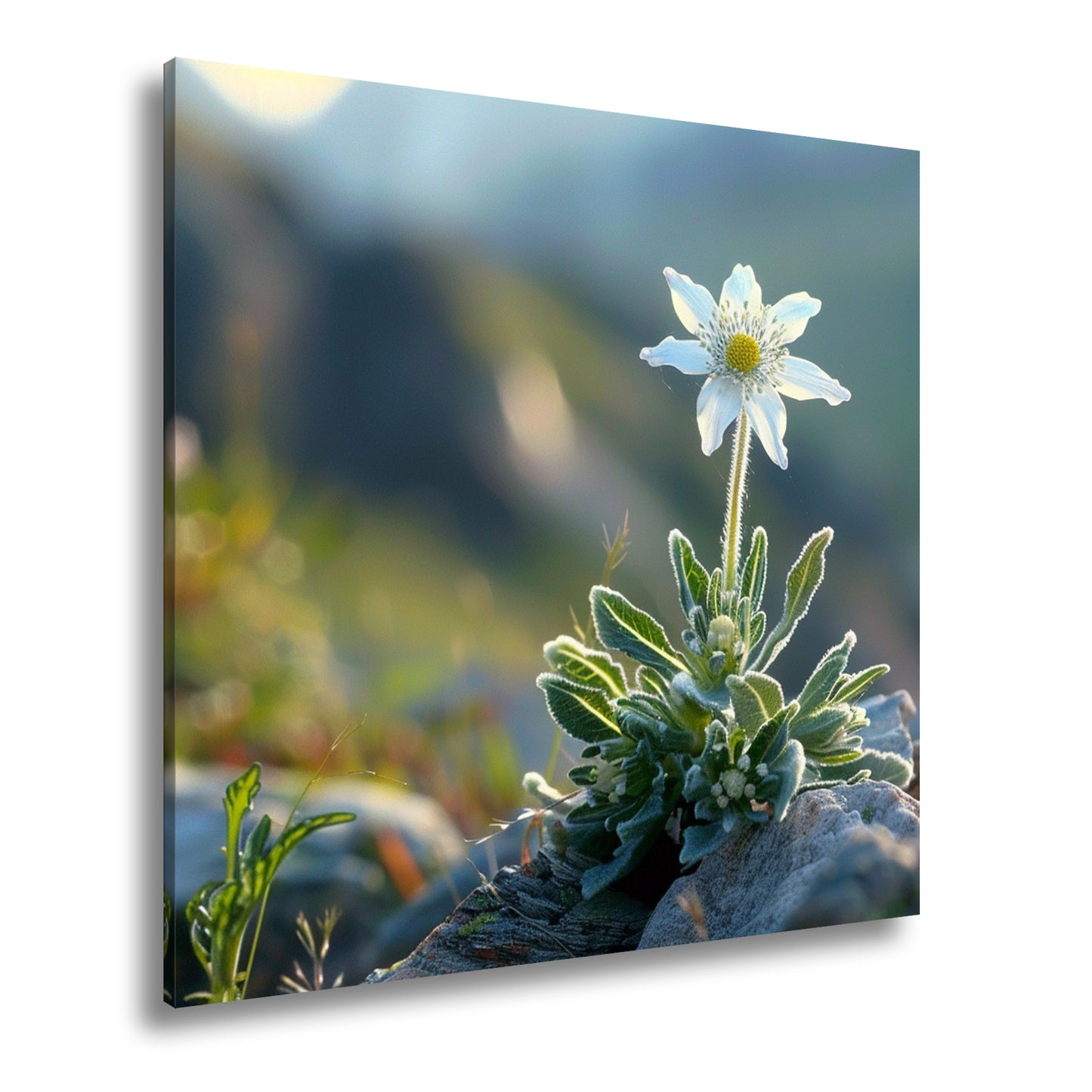 Hauptbild Farbig Quadratisch