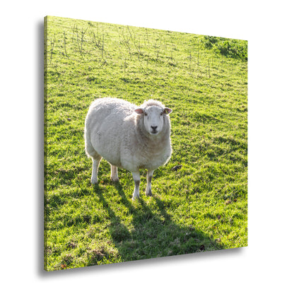 Hauptbild Farbig Quadratisch
