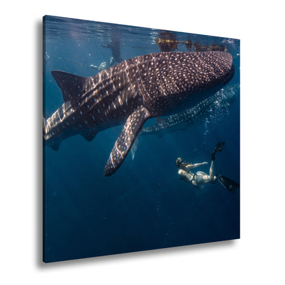 Hauptbild Farbig Quadratisch