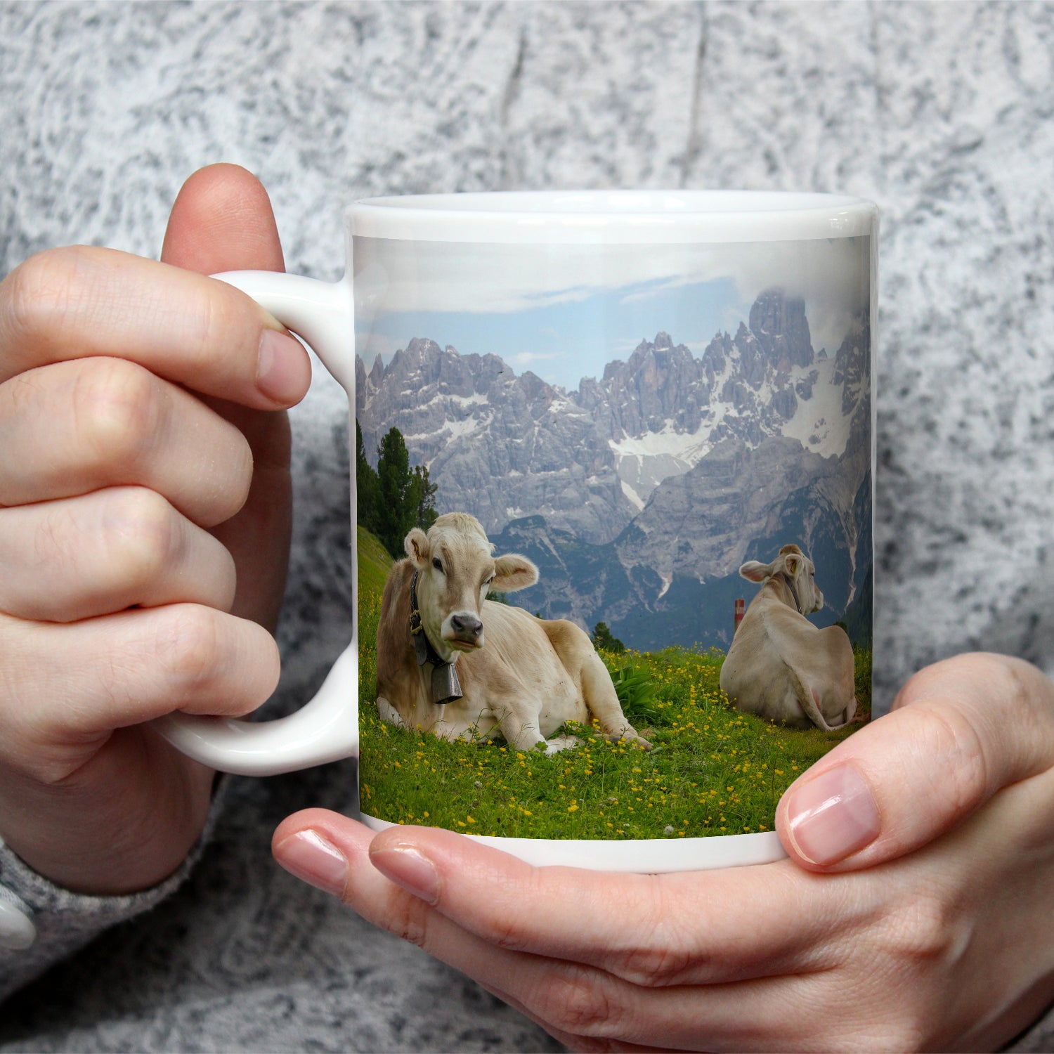 Vorschaubild 2