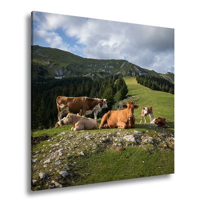 Hauptbild Farbig Quadratisch