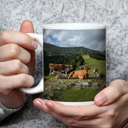 Vorschaubild 2