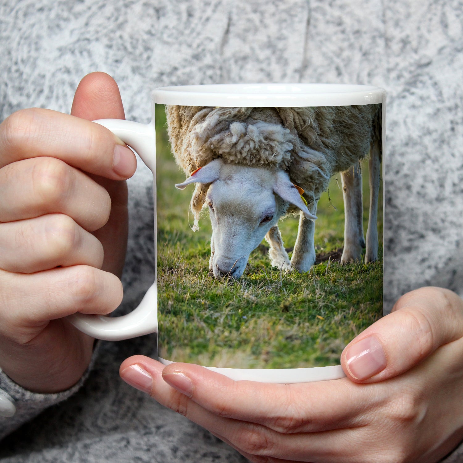Vorschaubild 2