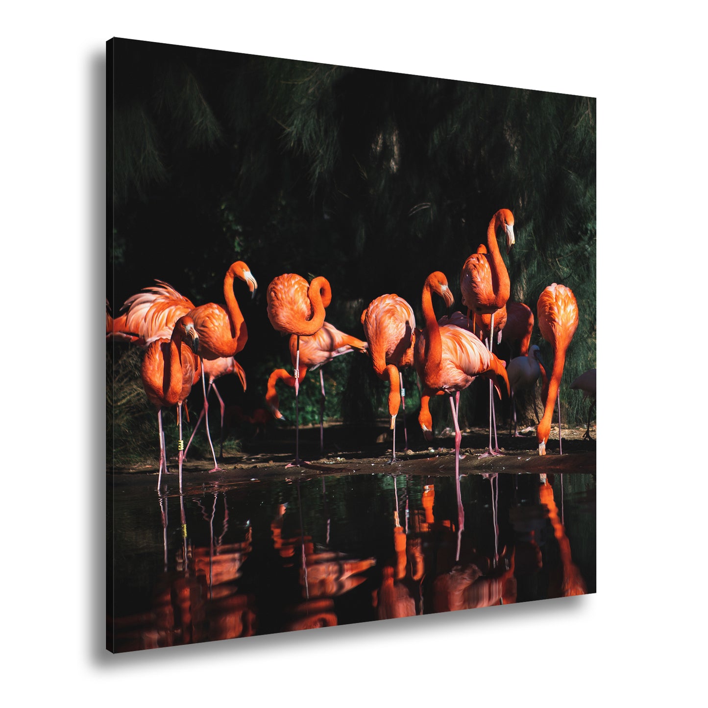 Hauptbild Farbig Quadratisch